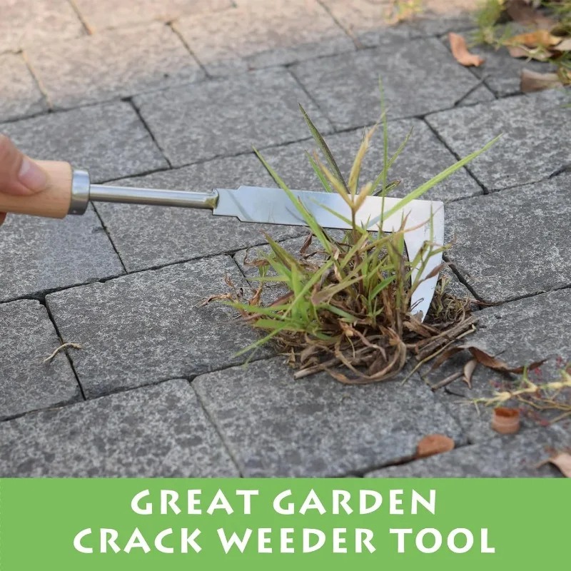 Stainless Steel Gap Weeding To - đánh giá và giá Gardening Tools Used For Weeding
