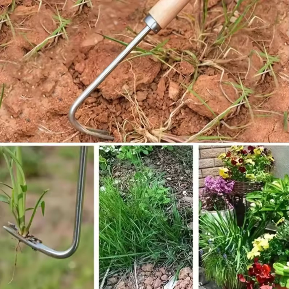 Stainless Steel Gap Weeding To - đánh giá và giá Gardening Tools Used For Weeding
