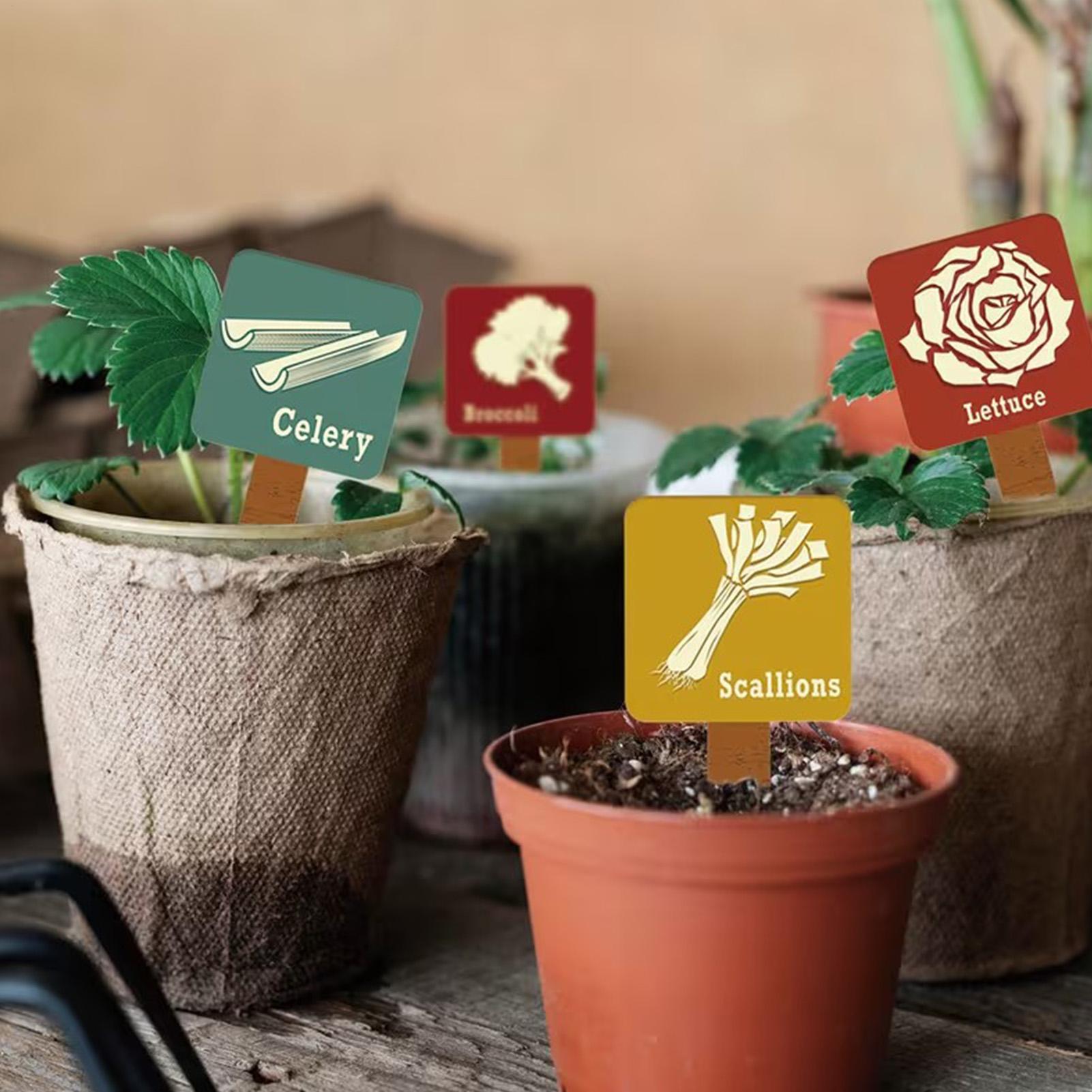 Garden Plant Markers 15 Pieces - đánh giá và giá Garden Row Marker