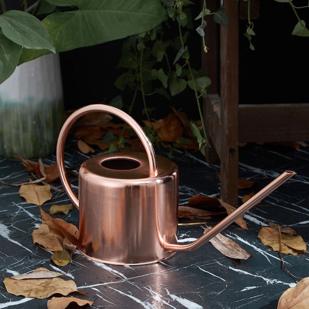 u 1.3L Plant Sprinkler Kettle  - đánh giá và giá Watering Can Long Spout