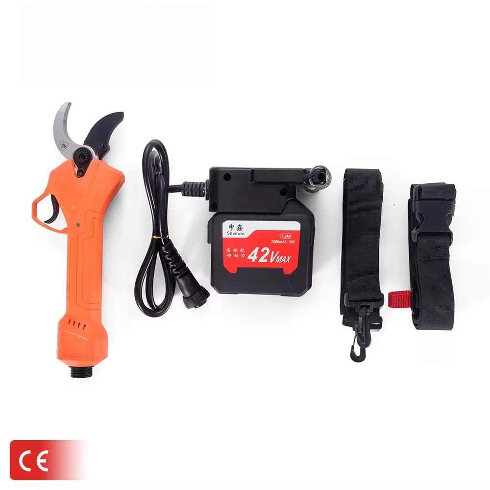 Hot Sale 42V Bodypack Electric - đánh giá và giá Gardening Tools In
