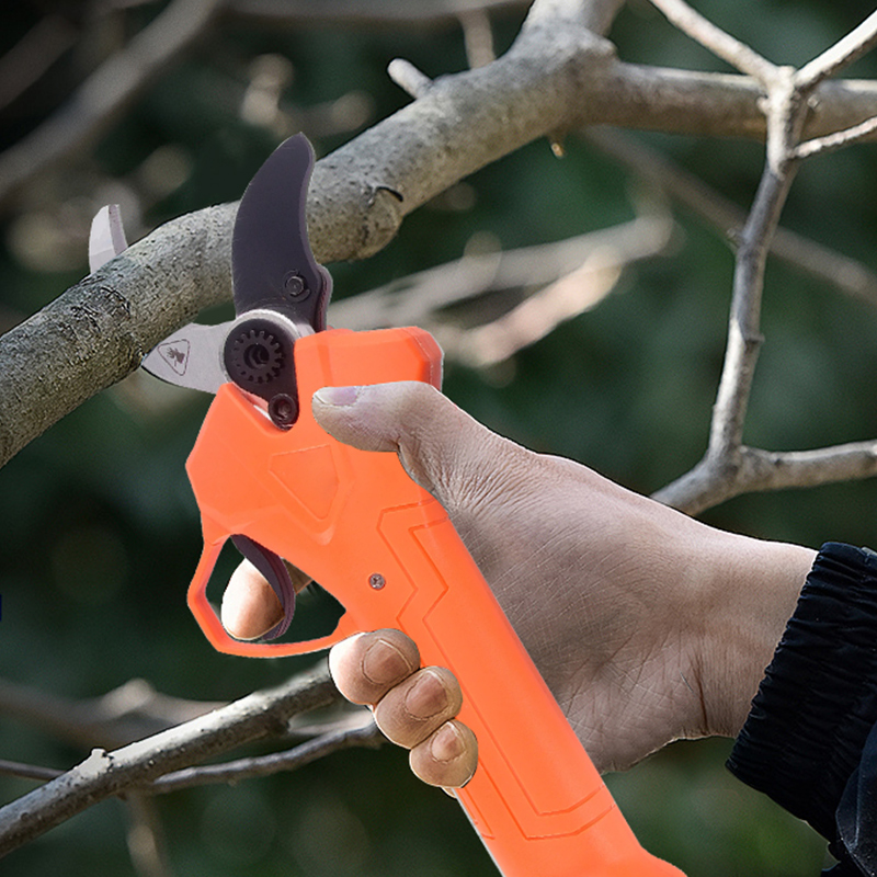 Hot Sale 42V Bodypack Electric - đánh giá và giá Gardening Tools In