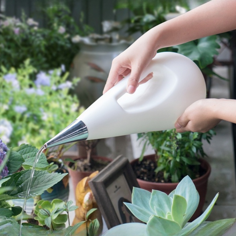 Long Spout Watering Can for In - đánh giá và giá Watering Can Long Spout