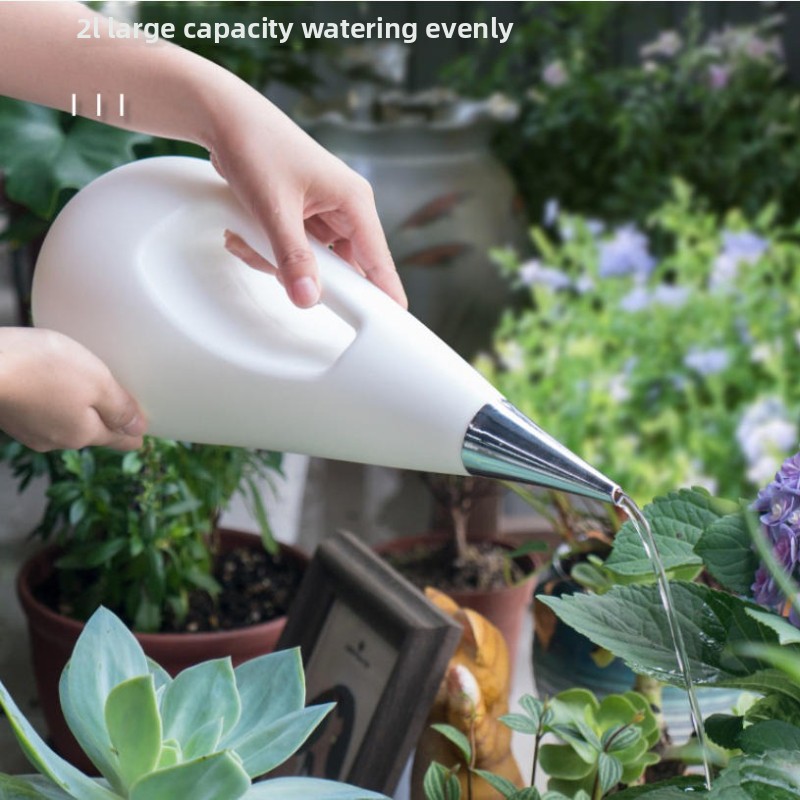 Long Spout Watering Can for In - đánh giá và giá Watering Can Long Spout