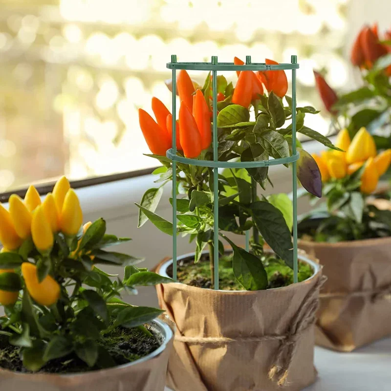 Plastic Plant Support Pile Sta - đánh giá và giá Gardening Tools Holder