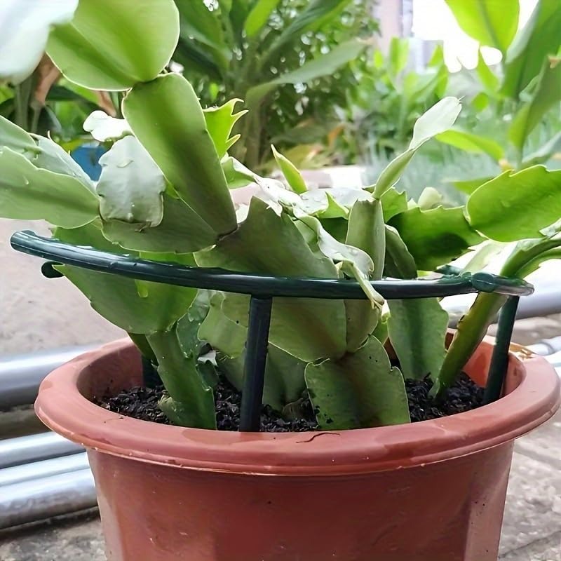 30-1PCS Plastic Plant Support  - đánh giá và giá Gardening Tools Holder