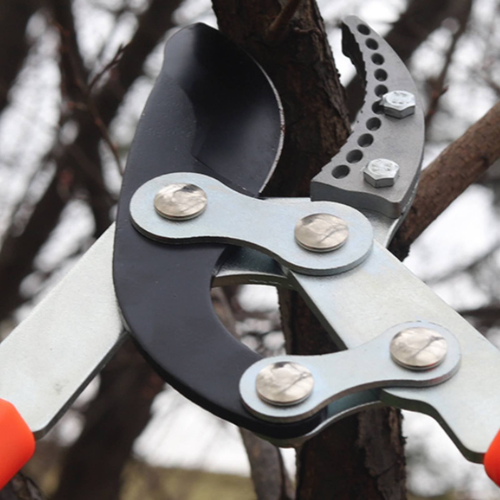 Telescopic Branch Pruners Shar - đánh giá và giá Gardening Tools In