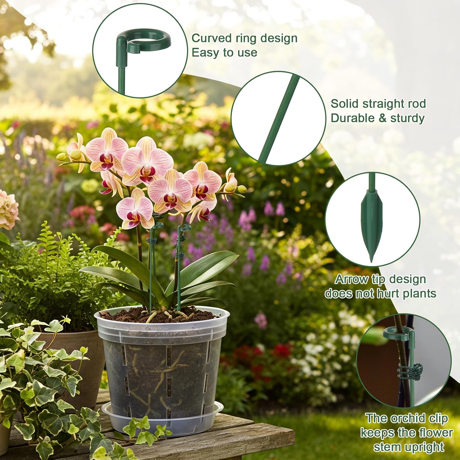 5/10pcs Plant Support Stakes P - đánh giá và giá Gardening Tools Holder