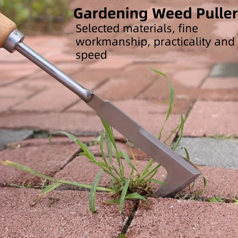 Stainless Steel Gap Weeding To - đánh giá và giá Gardening Tools Used For Weeding