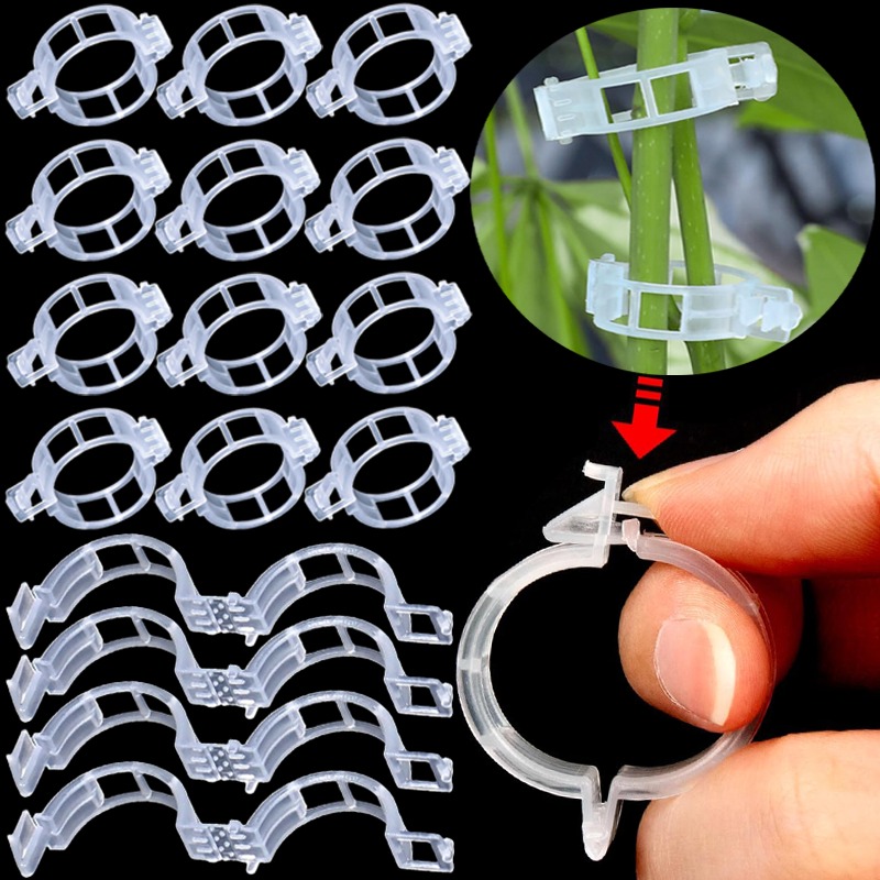 300/50PCS Plant Support Clips  - đánh giá và giá Gardening Tools Holder