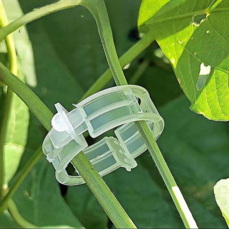300/50PCS Plant Support Clips  - đánh giá và giá Gardening Tools Holder