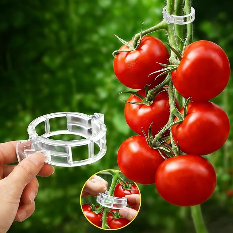 300/50PCS Plant Support Clips  - đánh giá và giá Gardening Tools Holder